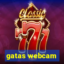 gatas webcam